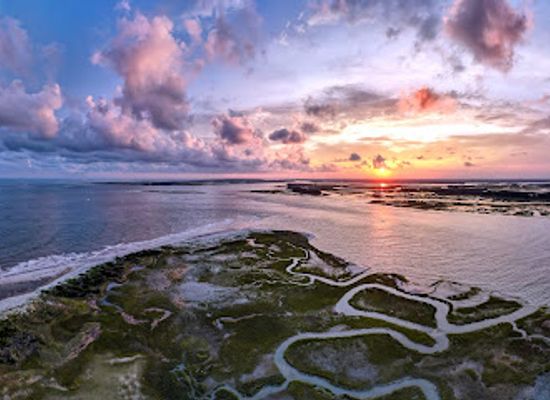 south-carolina/folly-beach/landmark/follyhood