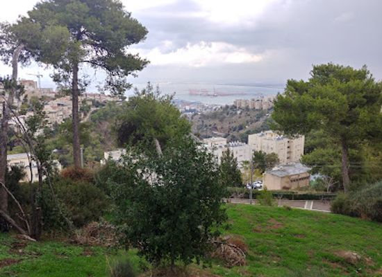 israel/haifa/german-colony/landmark/khirbet-rushmiya