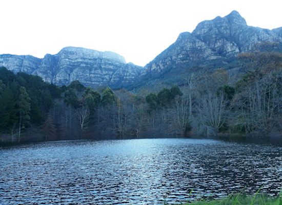 south-africa/overberg/landmark/newlands-forest-picnic-area