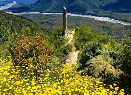 argentina/northern-patagonia/landmark/chaiten
