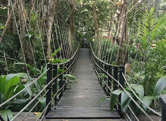 fiji/lau-islands/landmark/kula-wild-adventure-park
