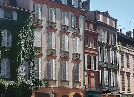 france/toulouse/carmes/landmark/jardin-royal