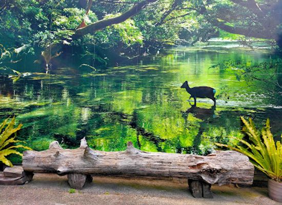 japan/yakushima/landmark/yakushima-travel-center