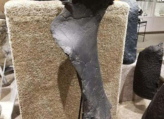 new-mexico/santa-fe/landmark/touchstone-gallery-minerals-fossils-jewelry