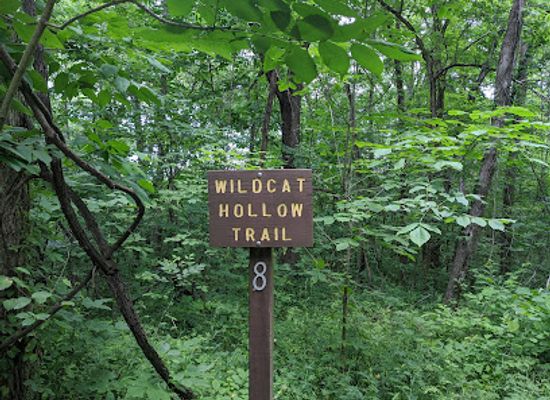 ohio/appalachian-ohio/landmark/wildcat-hollow-hiking-trail-wayne-national-forest