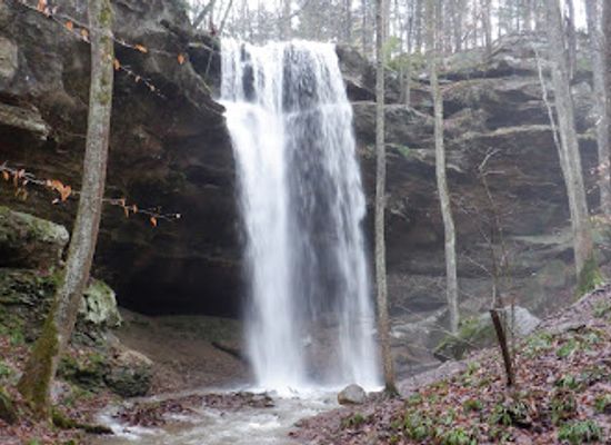 indiana/morgan-monroe-state-forest/landmark/hoosier-national-forest