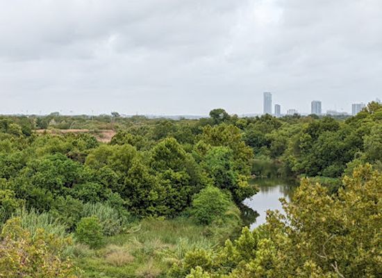 texas/central-texas/landmark/historic-montopolis-bridge