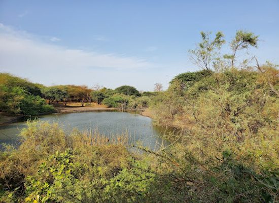 senegal/mbour/landmark/bandia-reserve