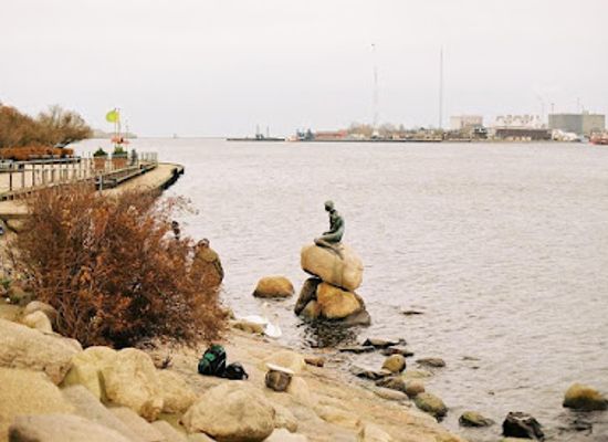 denmark/zealand/landmark/the-little-mermaid