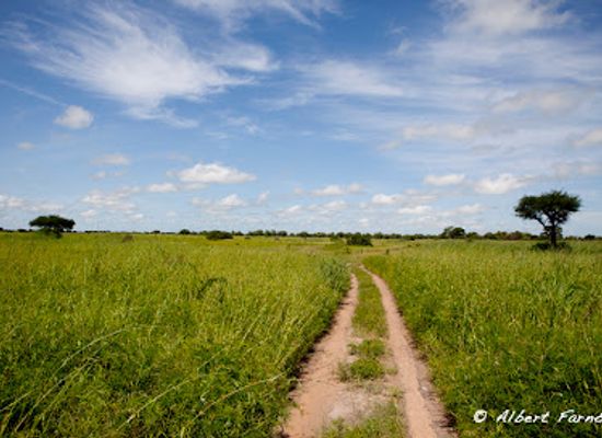 cameroon/grassfield-region/landmark/waza-national-park