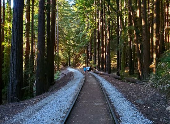california/silicon-valley/landmark/garden-of-eden-henry-cowell-redwood-state-park