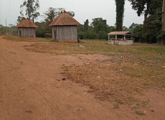 cameroon/bafoussam/landmark/chefferie-baleng