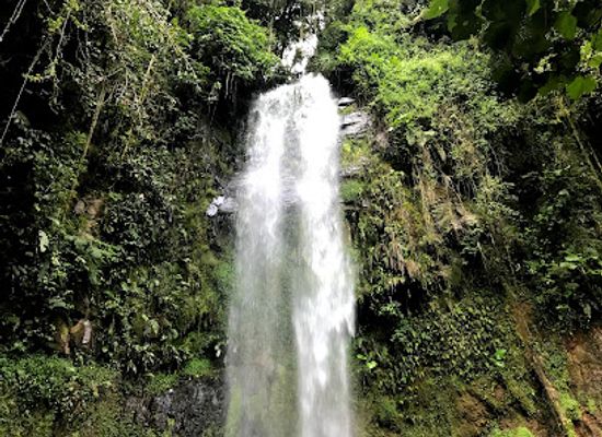 panama/chiriqui-highlands/landmark/bajo-monod-camping-site-boquete