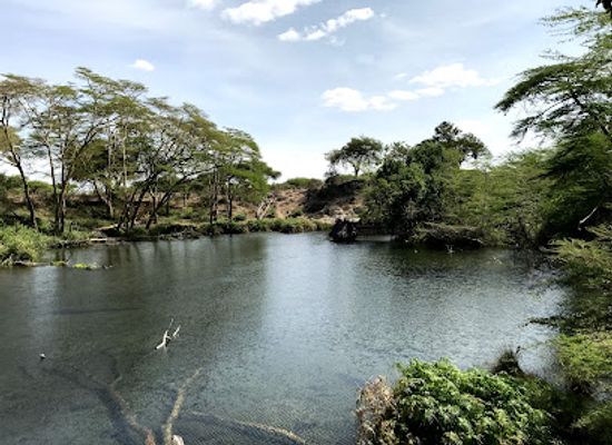 kenya/eastern-region/landmark/mzima-springs