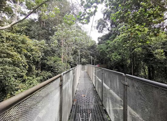 malaysia/kedah/landmark/tree-top-walk-sungai-sedim