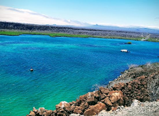 ecuador/galapagos-islands/landmark/baltra-island