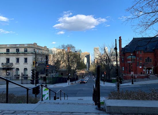 canada/montreal/landmark/rue-peel-steps