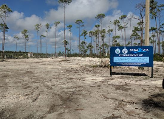 the-bahamas/grand-bahama/landmark/coral-vita-coral-farm