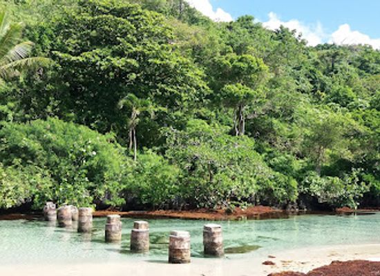 dominican-republic/samana-peninsula/landmark/playa-rincon