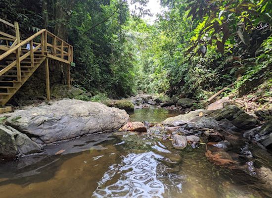 belize/cockscomb-basin-wildlife-sanctuary/landmark/billy-barquedier-national-park