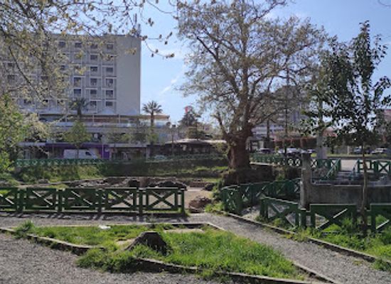 albania/librazhd/landmark/plane-tree-of-bezistan
