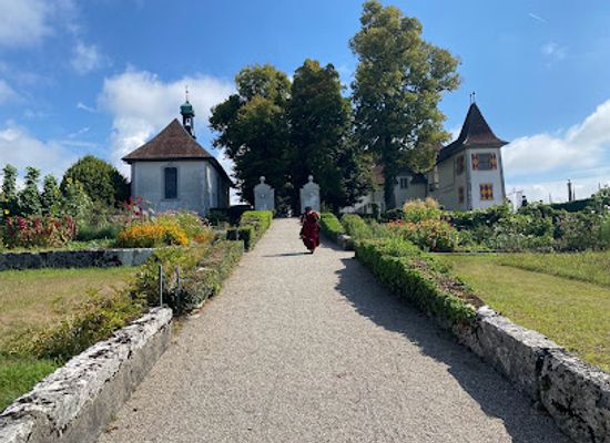 switzerland/solothurn/landmark/waldegg-castle