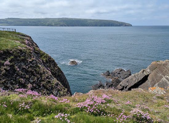 united-kingdom/cardiganshire/attraction/cardigan-island-coastal-farm-park-2