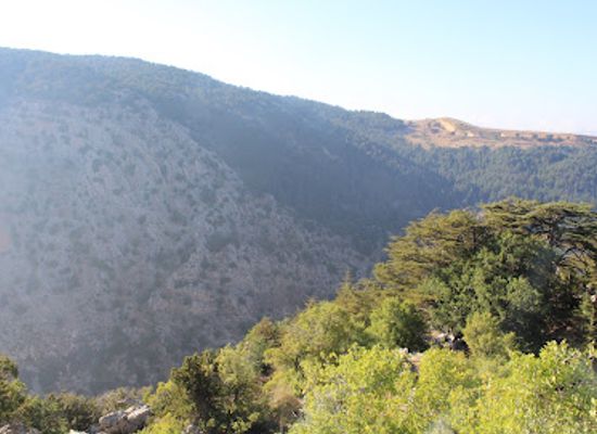 lebanon/bsharri/landmark/tannourine-cedar-reserve