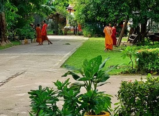 laos/attapeu-province/landmark/wat-luang