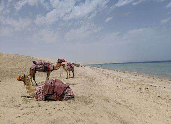 qatar/sealine-beach-resort/landmark/inland-sea-beach