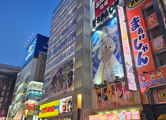 japan/tokyo/akihabara/landmark/akihabara-electric-town