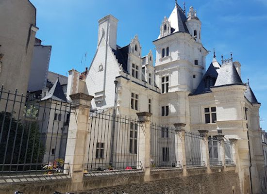 france/angers/landmark/musee-pince