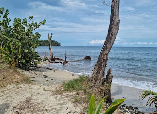 costa-rica/caribbean-coast/landmark/parque-nacional-cahuita