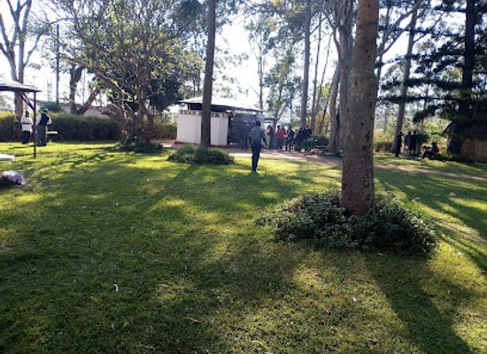 zimbabwe/bvumba-botanical-gardens/landmark/vumba-gateway-gardens-and-curios