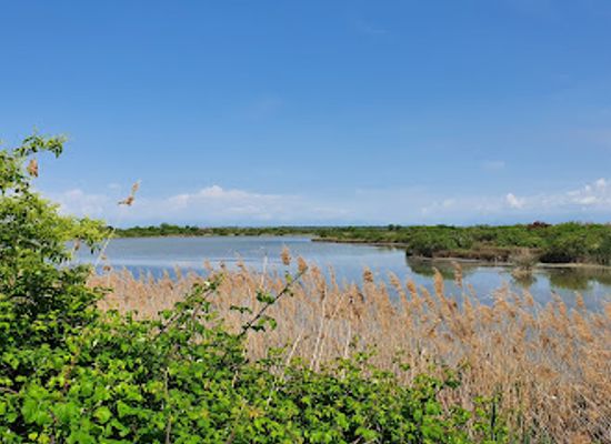 italy/friuli-venezia-giulia/landmark/canal-novo-valley-nature-reserve