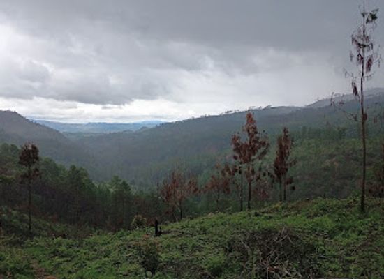 honduras/western-highlands/landmark/parque-nacional-la-tigra