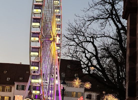 switzerland/basel/landmark/minster-cathedral-square
