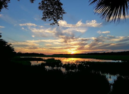 south-carolina/edisto-island/landmark/edisto-beach-state-park