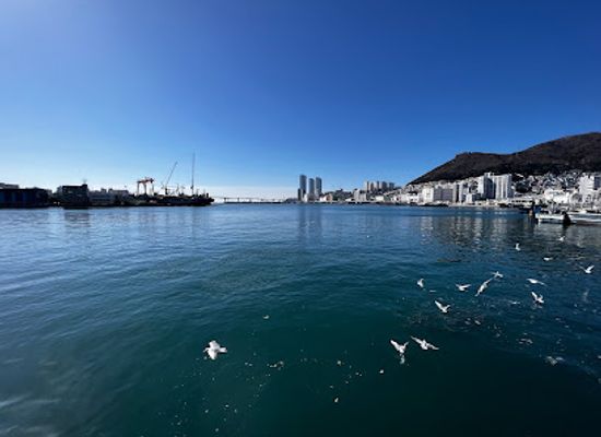 south-korea/busan-beaches/landmark/jagalchi-market