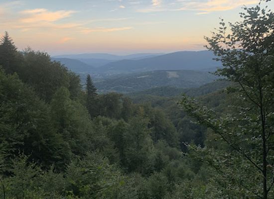 slovakia/poloniny-national-park/landmark/prales-stuzica
