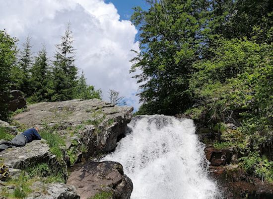 serbia/stara-planina-mountain/landmark/strict-nature-reserve-arbinje