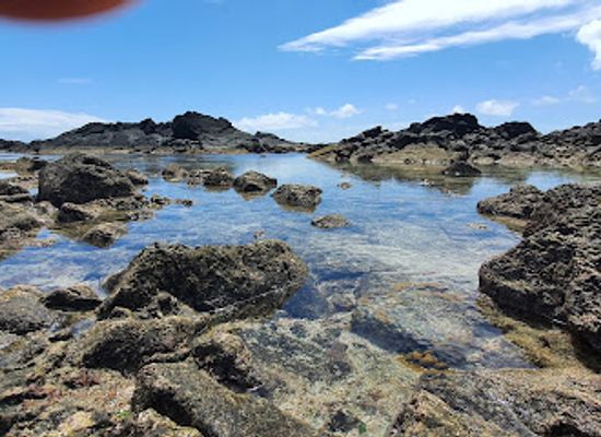 samoa/falealupo/landmark/cape-mulinuu