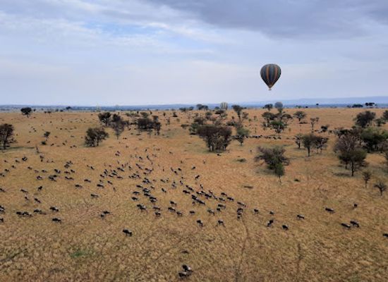 tanzania/arusha/landmark/off-the-beaten-path-safaris-ltd