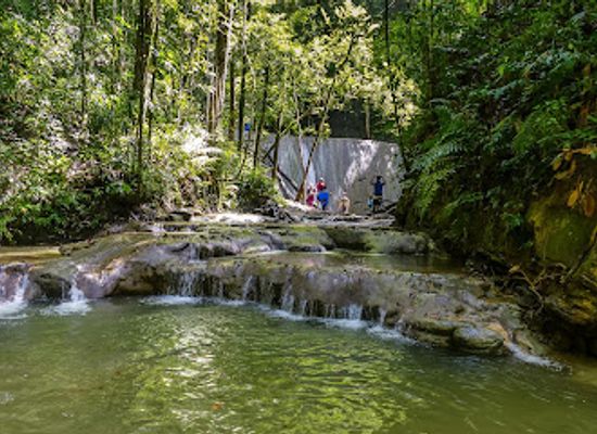trinidad-and-tobago/mayaro-rio-claro/landmark/cumaca-falls-turure-watersteps