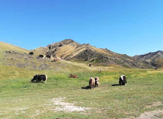 mongolia/mongolian-manchurian-grassland/landmark/gobi-gurvan-saikhan-national-park