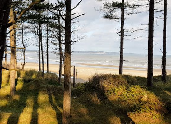ireland/wexford/landmark/raven-point