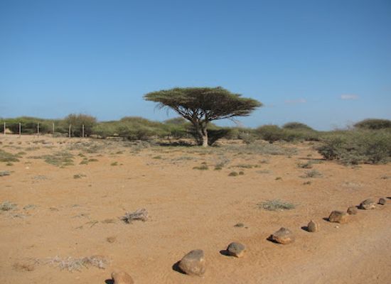 djibouti/petit-bara-desert/landmark/decan-refuge