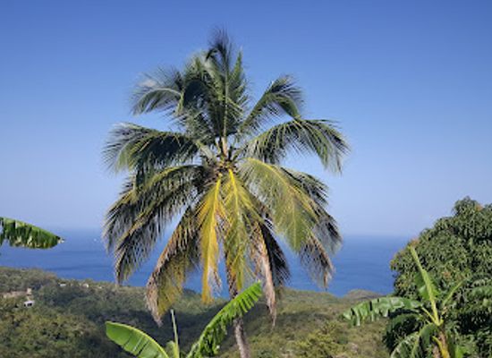 saint-lucia/anse-la-raye-quarter/landmark/horizon-cocktails-view-point-bar-grill