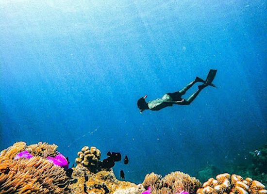 maldives/ukulhas/landmark/atoll-dives