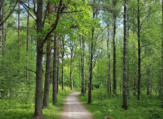 sweden/orebro/attraction/sommarro-cultural-reserve